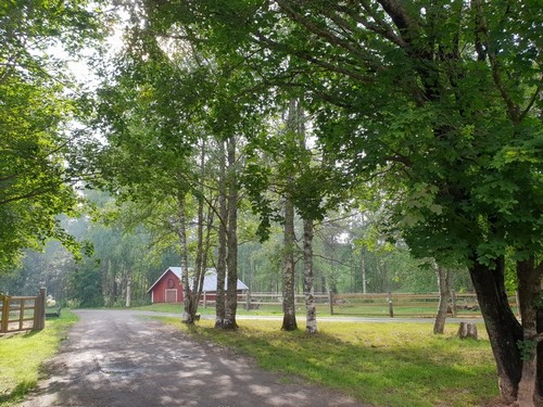 Luonnon rauhassa